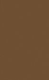 mdn bronz